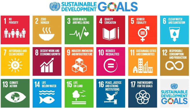 palsgaard-supports-the-un-sustainable-development-goals-scaled